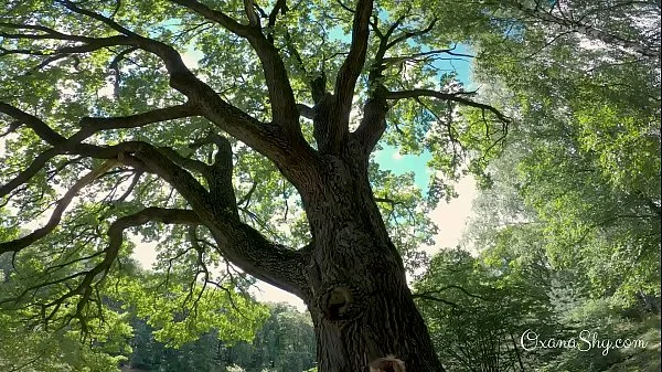 Buttpluged slut in a nature park